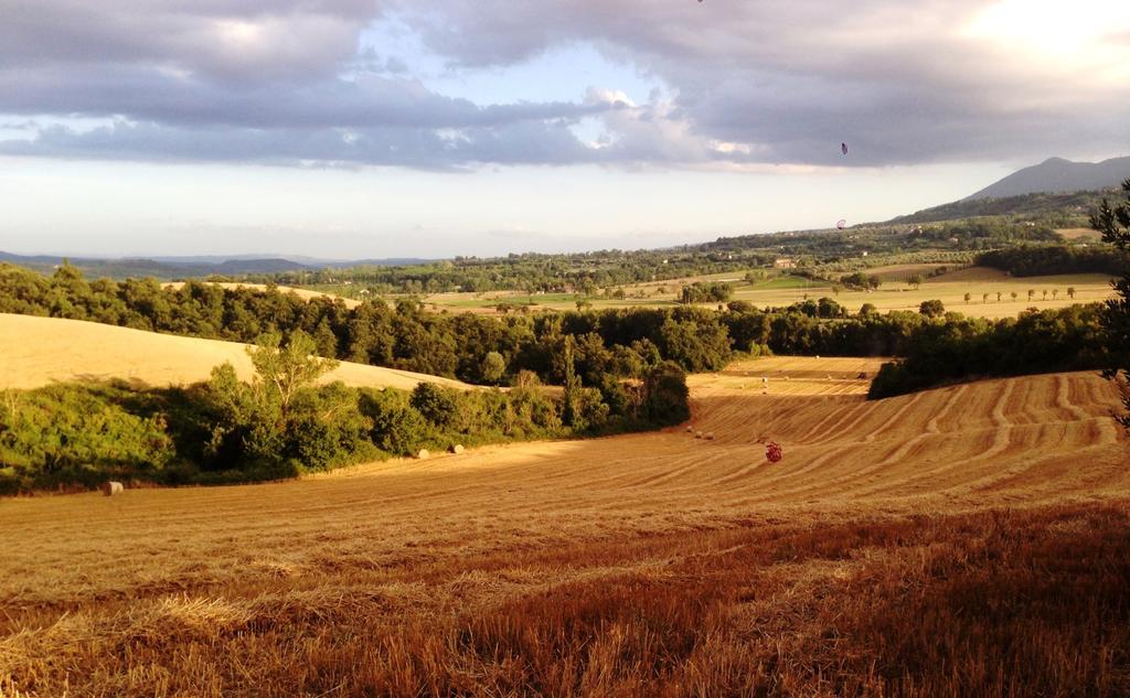 Poggio Cantarello Vacanze Chiusi Bagian luar foto